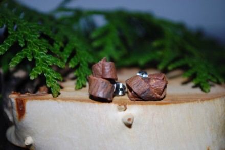 Ohrstecker aus Eibenrinde zu Kringeln geformt; Stecker Metall versilbert, nickelfrei (SKE17) Ohrstecker aus Eibenrinde zu Kringeln geformt; Stecker Metall versilbert, nickelfrei (SKE17)