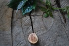 Collier mit einer Scheibe von der Eibe auf doppeltem Schmuckdraht (CdSE2) Collier mit einer Scheibe von der Eibe auf doppeltem Schmuckdraht (CdSE2)