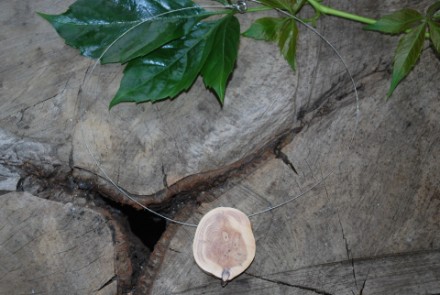 Collier mit einer Scheibe Holz von der Eibe auf Schmuckdraht (CSE7)