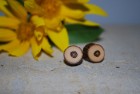 Ohrstecker aus dem Holz des Kirschlorbeer; Stecker Metall versilbert, nickelfrei (SSLo8) Ohrstecker aus dem Holz des Kirschlorbeer; Stecker Metall versilbert, nickelfrei (SSLo8)